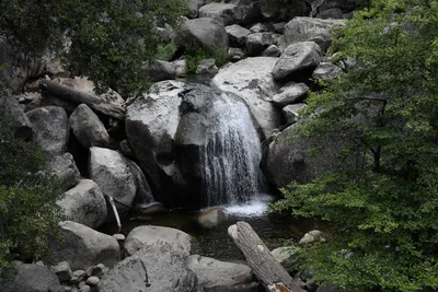 DSC_4520 (Large).JPG